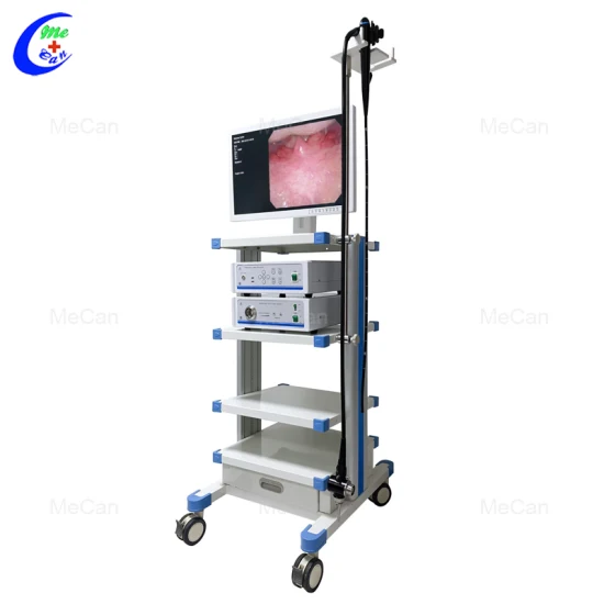 Sistema de endoscópio digital, câmera endoscópica flexível, câmera endoscópica de vídeo